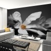 Fototapeta kwiat magnolii do salonu