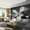 Fototapeta kwiat magnolii do pokoju