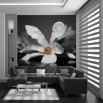 czarno biała fototapeta kwiat magnolii