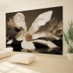 Fototapeta kwiat magnolii w sepii